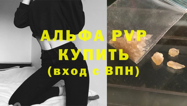 гашик Алексин