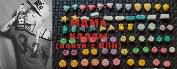 гашик Алексин