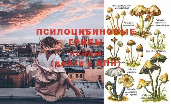 прущая мука Абдулино