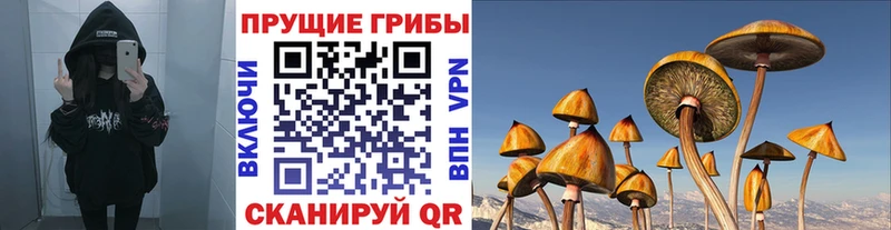 Галлюциногенные грибы Magic Shrooms  Ладушкин 