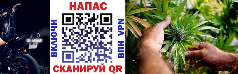 купить   Ладушкин  Каннабис VHQ 